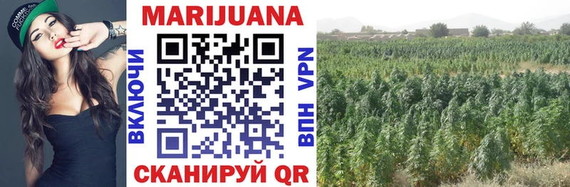 Бошки Шишки White Widow  где продают наркотики  Чебаркуль 